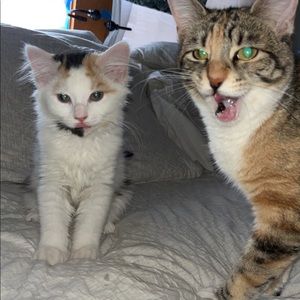 Meet your Posher, Timothy